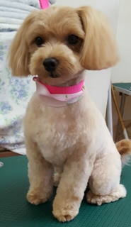 20160710210428788.jpg